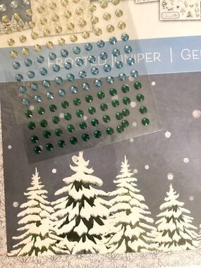 NEW Recollection Christmas scrapbooking pack with rhinestones.